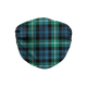 Lamont Ancient Tartan